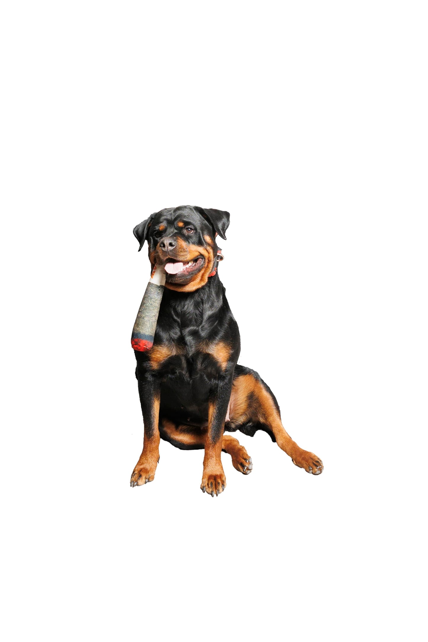 Toys - Doggie Joint