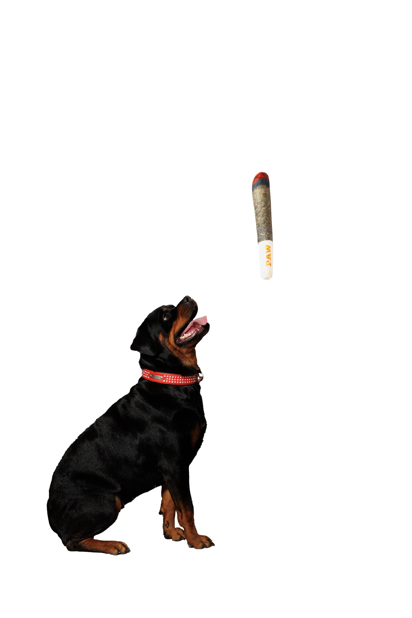Toys - Doggie Joint