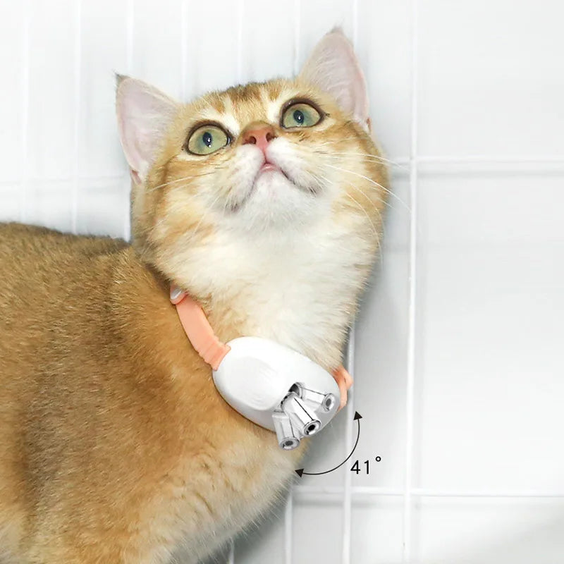 Cat Laser Toy