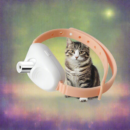 Cat Laser Toy